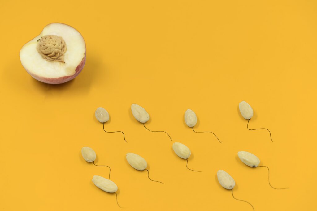 fertilità maschile e alimentazione